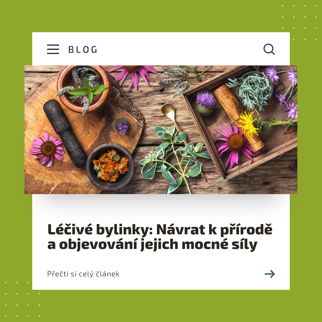 Bylinky: Návrat k přírodě a objevování jejich léčivé síly