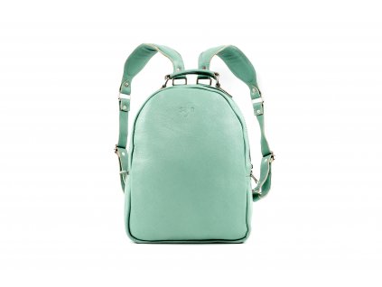 mint platno