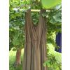Kojicí MAXI šaty Thalia – khaki