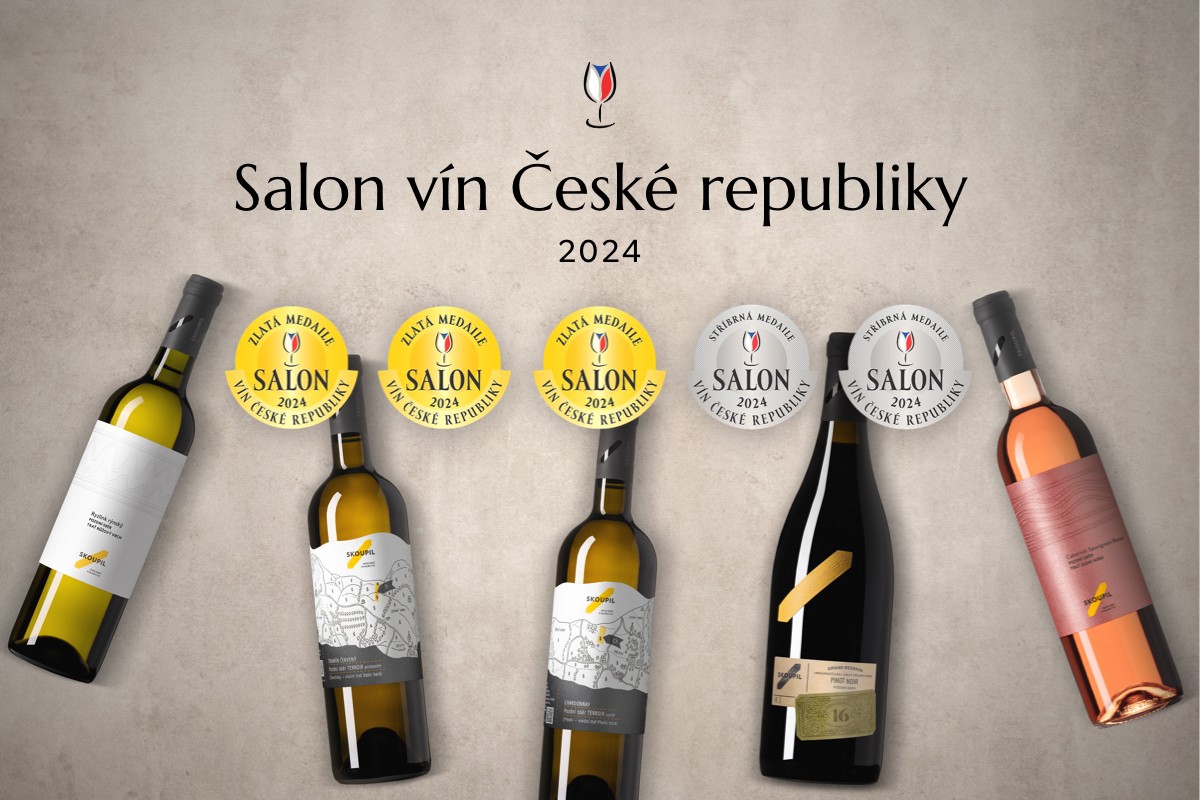 Salon vín
