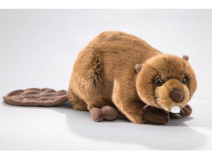 1101 plus lungime 27 cm plus jocuri