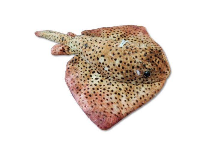 Pisică de mare de pluș 29 cm - jucării de pluș