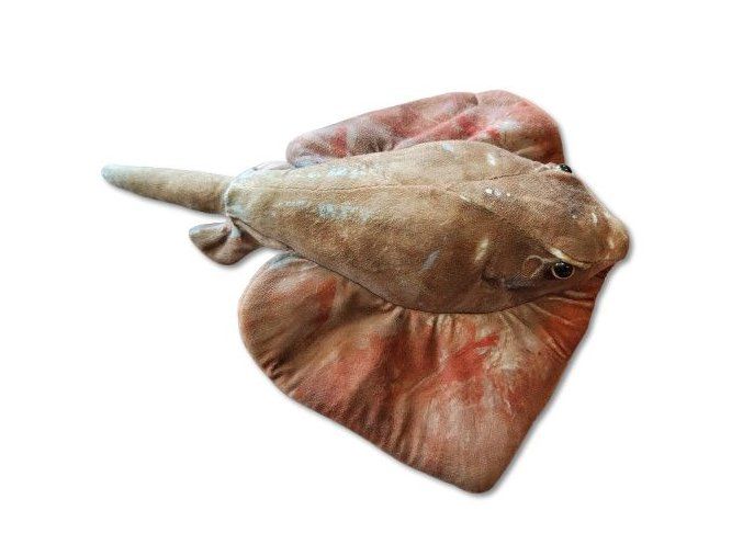 Pisică de mare de pluș 40 cm - jucării de pluș