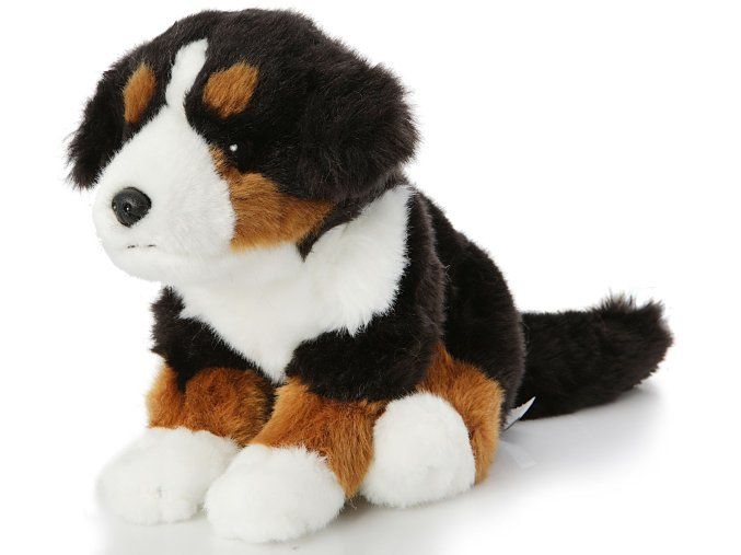 Câine de pluș - câine de munte bernez 26 cm - jucării de pluș