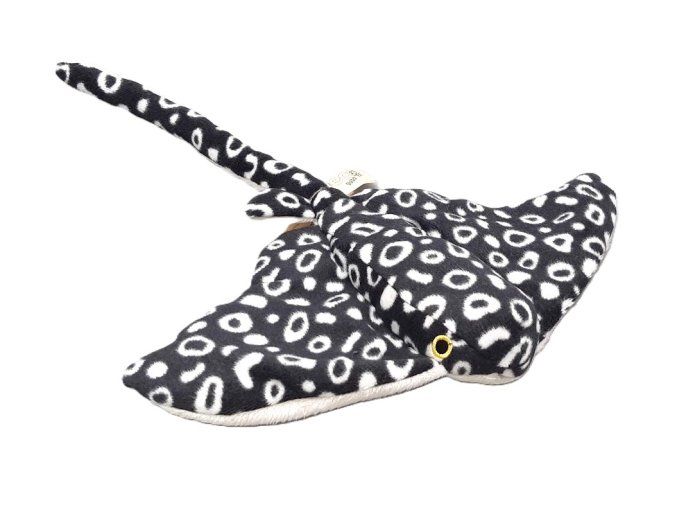 4806 1 plus raja 34 cm plus jocuri