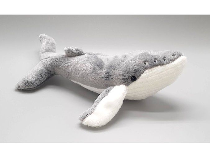 528 1 plus balnă 25 cm plus jocuri