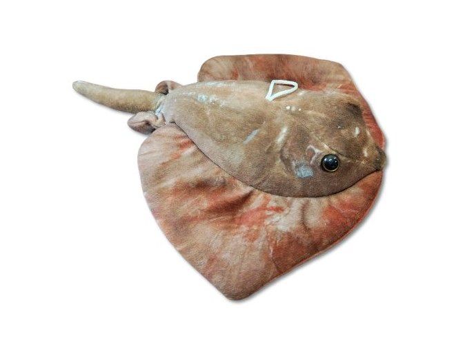 Pisică de mare de pluș 30 cm - jucării de pluș