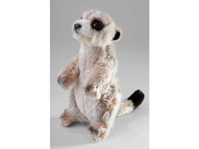 8185 4 suricate plus jucării de 20 cm plus
