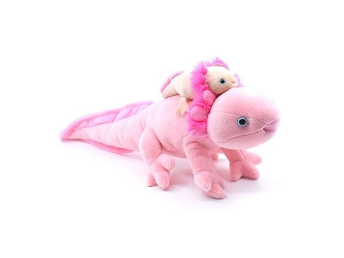 Axolotl de pluș 25 cm - jucării de pluș