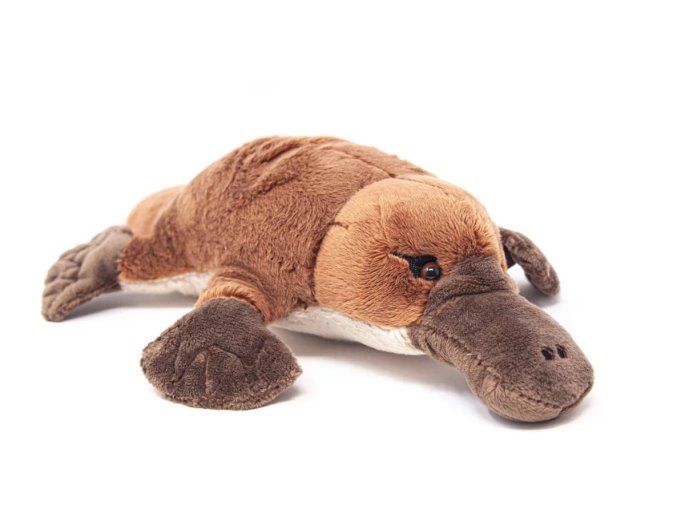 8775 1 plus cioc de rață 28 cm