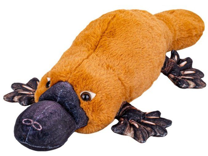 Ornitorinc de pluș 50 cm
