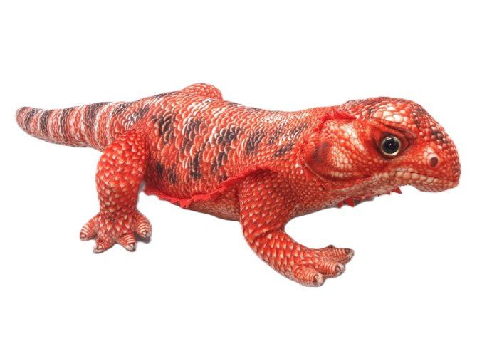 Agama de pluș 50 cm - jucării de pluș