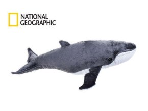 1107 abdc4cc2 0b4b 48a6 81ff 1a77d8de8eff velryba plys w011626