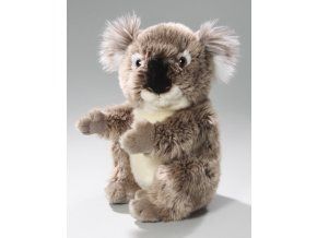 Koala de pluș 21 cm - jucării de pluș