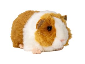 3312 3 pluss tengerimalac 20 cm pluss jatekok