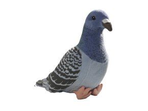 Porumbel de pluș 20 cm - jucării de pluș