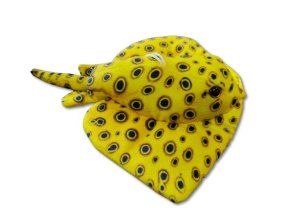 Pisică de mare de pluș 30 cm - jucării de pluș