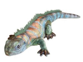 8538 366e3674 a555 448e 90c5 e7c8116fb963 jester b602306