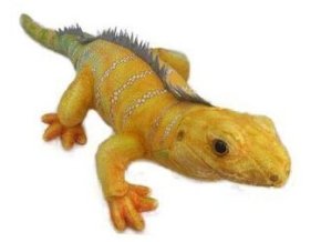 8541 719ecdcf 23b6 4851 ab1f 8ebf824ac3b9 leguan b602009