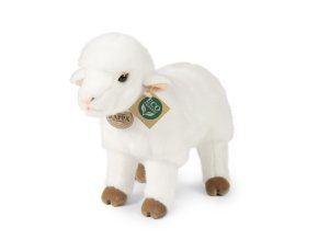 8565 1 plus maro 30 cm plus jocuri