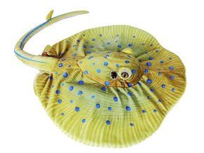 Pisică de mare de pluș 45 cm - jucării de pluș