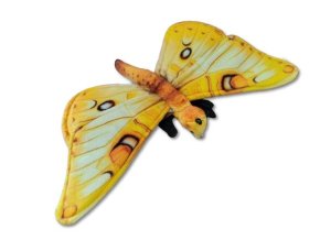 8853 0024047 motyl b602795 jpg