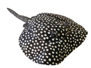 Pisică de mare de pluș 40 cm - jucării de pluș