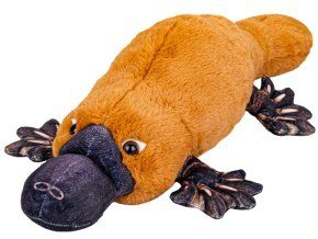 Ornitorinc de pluș 50 cm