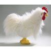 1224 1 1224 1 pluss kakas 38 cm pluss jatekok