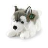 Câine husky de pluș 32 cm