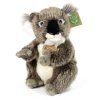 Ursuleț koala de pluș 22 cm