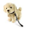 Câine Golden Retriever de pluș cu lesă 25 cm
