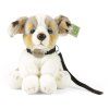 Ciobănesc australian de pluș cu lesă 28 cm