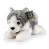 Câine husky de pluș 21 cm