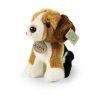 Câine beagle de pluș 20 cm
