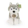 Câine husky de pluș 23 cm MOALE