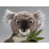 Koala de pluș 30 cm - jucării de pluș