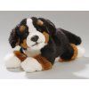 Câine de pluș - Câine de munte Bernese 25 cm - jucării de pluș