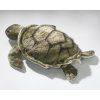 Broască țestoasă de pluș 35 cm - jucării de pluș