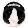 Porcușor de Guineea de pluș 21 cm - jucării de pluș