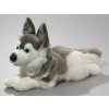 4767 1 pluss kutya husky 34 cm