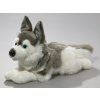 Câine de pluș - husky 34 cm