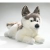 6143 pluss kutya husky 42 cm