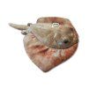 Pisică de mare de pluș 30 cm - jucării de pluș