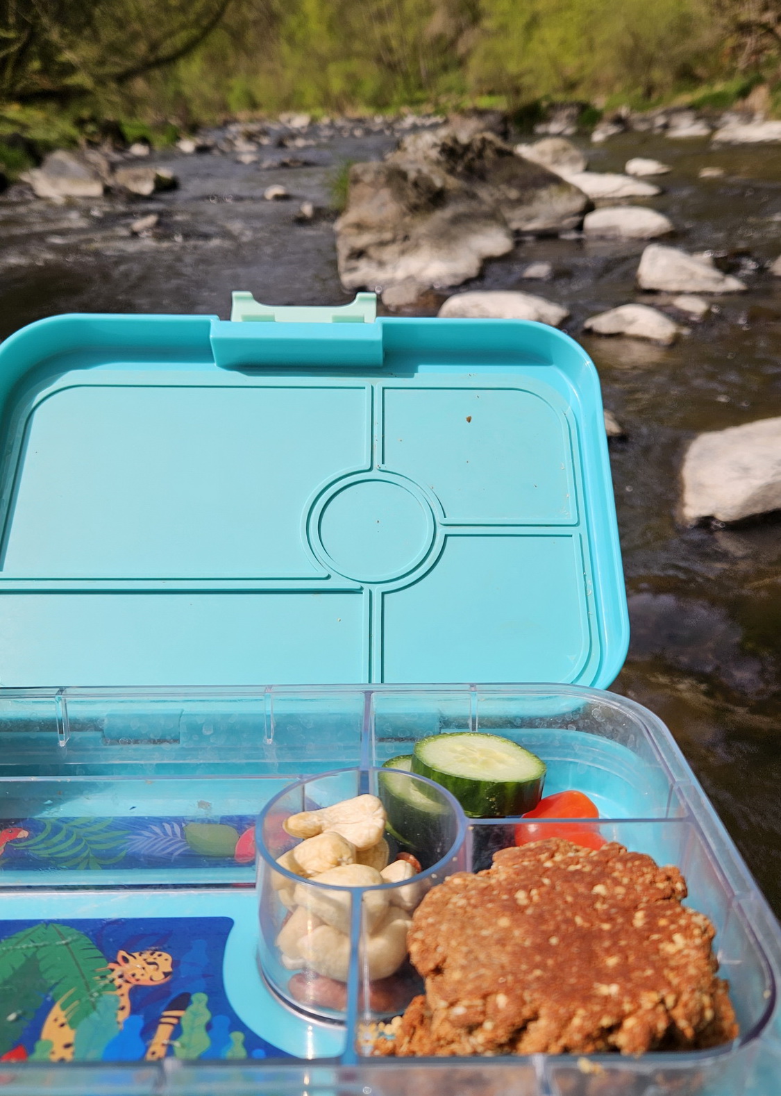 Yumbox1_1