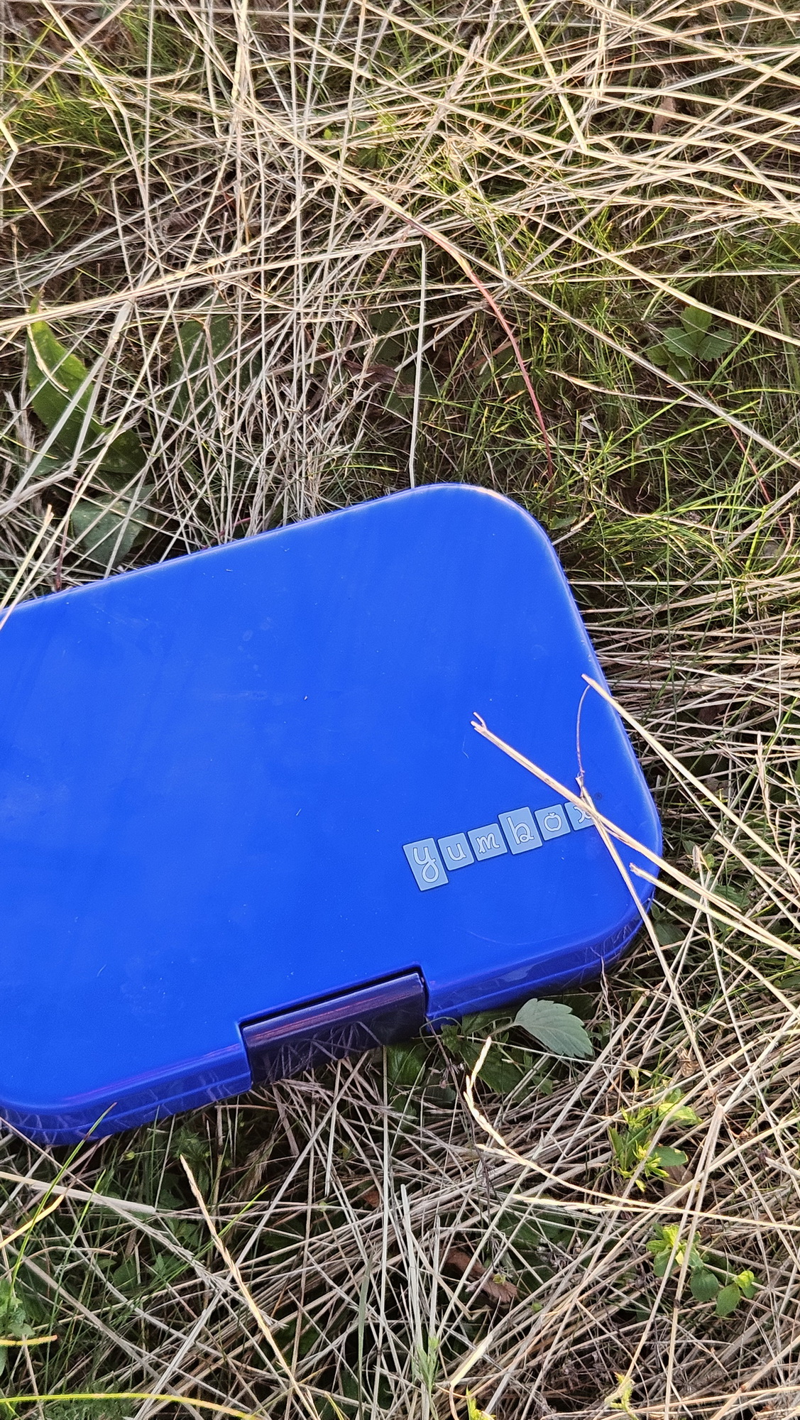 Yumbox3