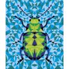 J07980 Janod Kreativní sada Malování podle čísel Hmyz-6