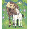 J07953 Janod Kreativní sada Malování podle čísel Koně-5