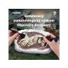 MD0175 MiDeer Vykopávání dinosaurů - Tyranosaurus-3