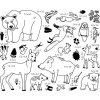 ALA55277 AladinE Razítka StampoMinos Lesní zvířátka-1
